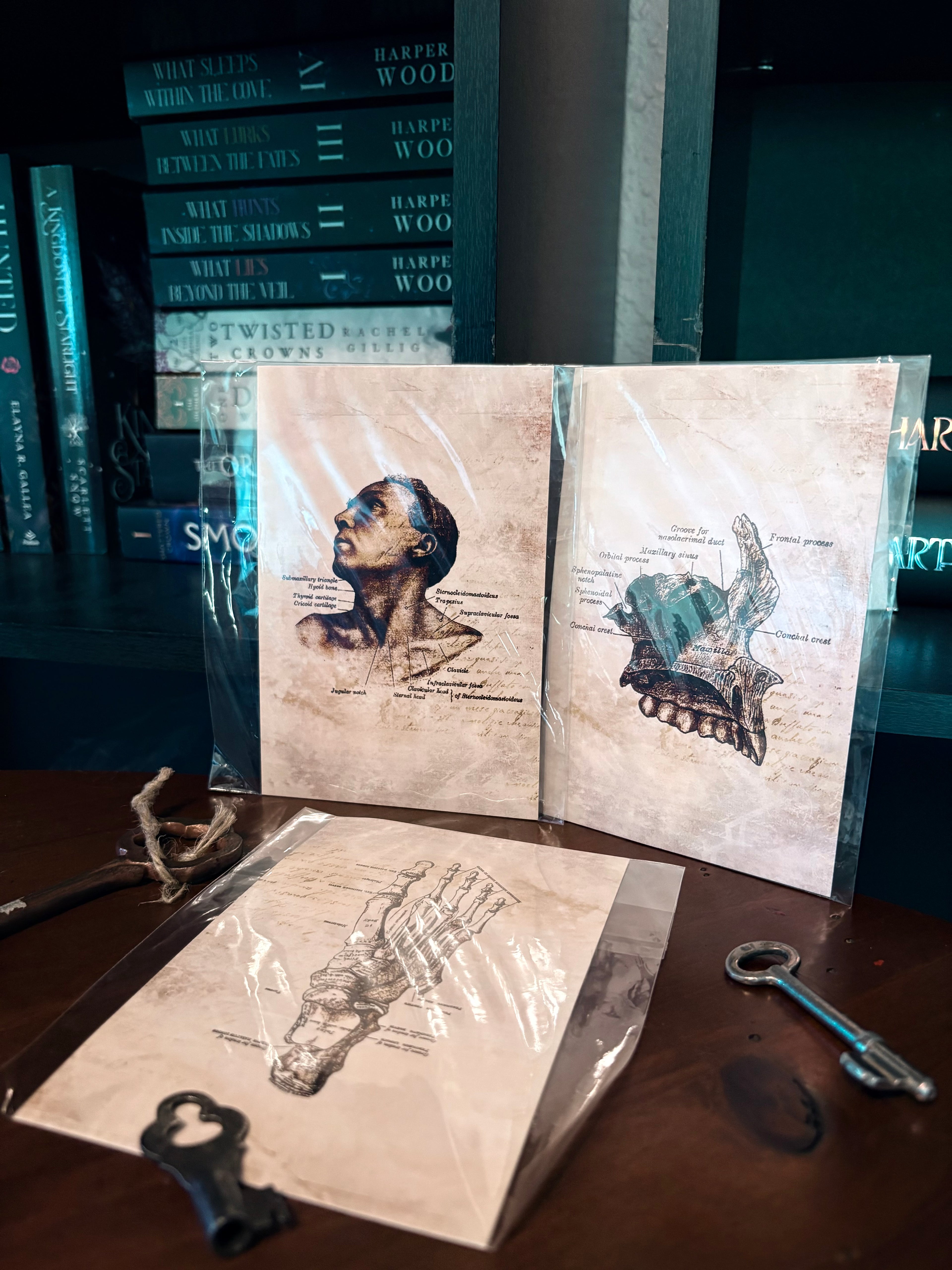 Accessories & Mystery Items