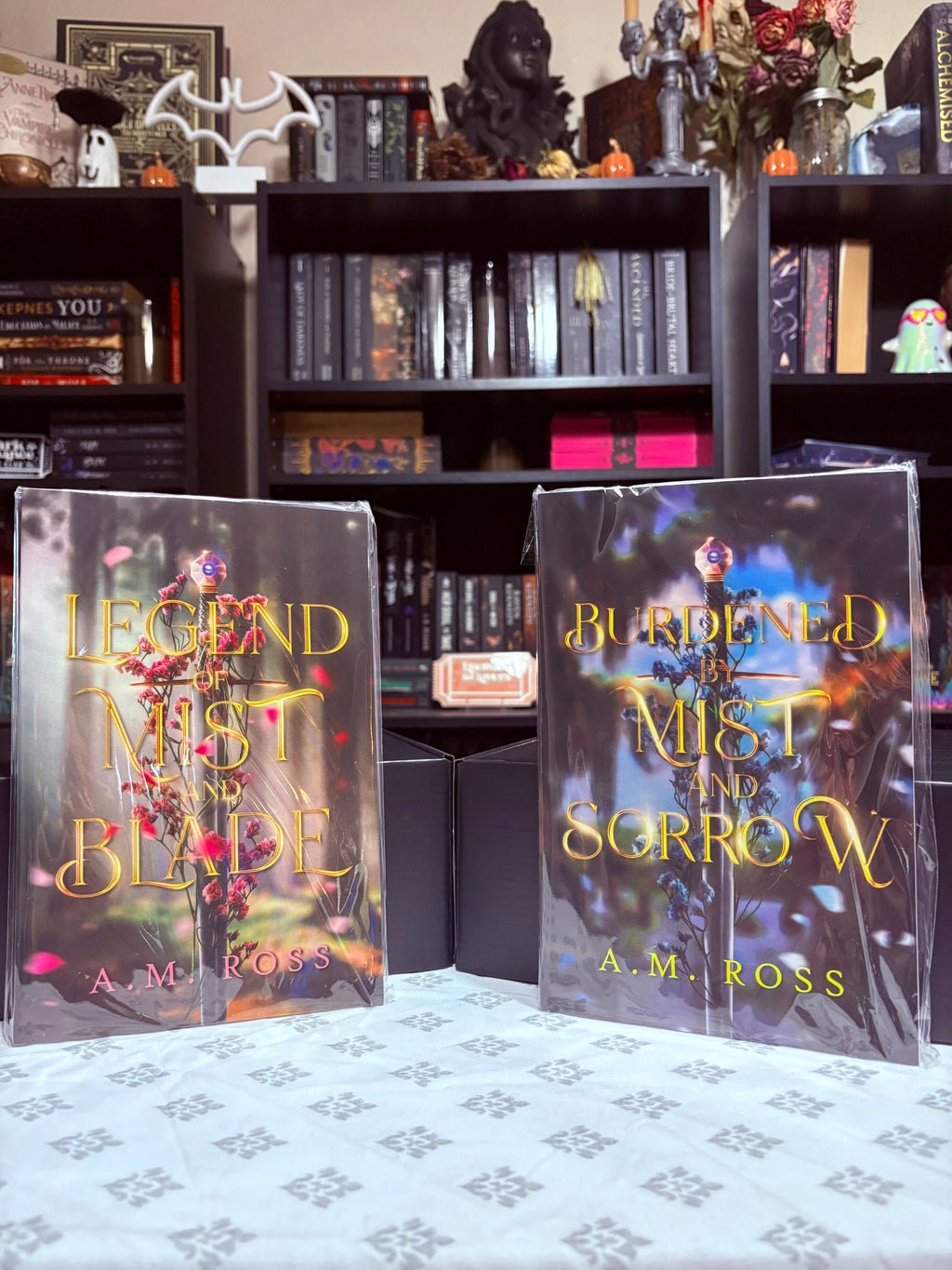 TBR Shelf | Legend of Mist & Blade Duet