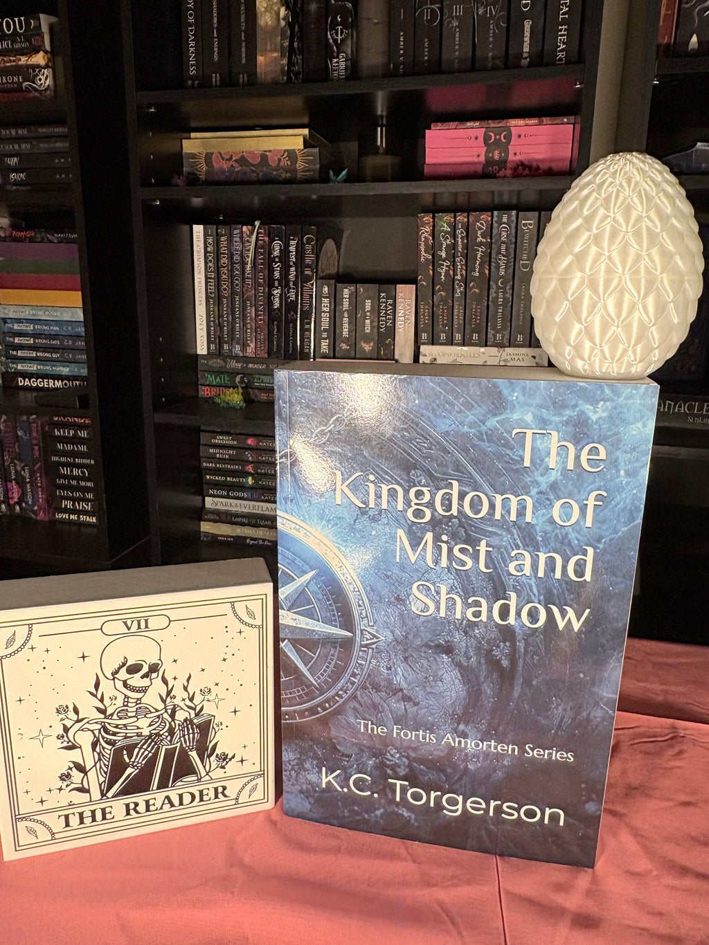 🐉 TBR Shelf | A Kingdom of Mist and Shadow — K.C. Torgerson