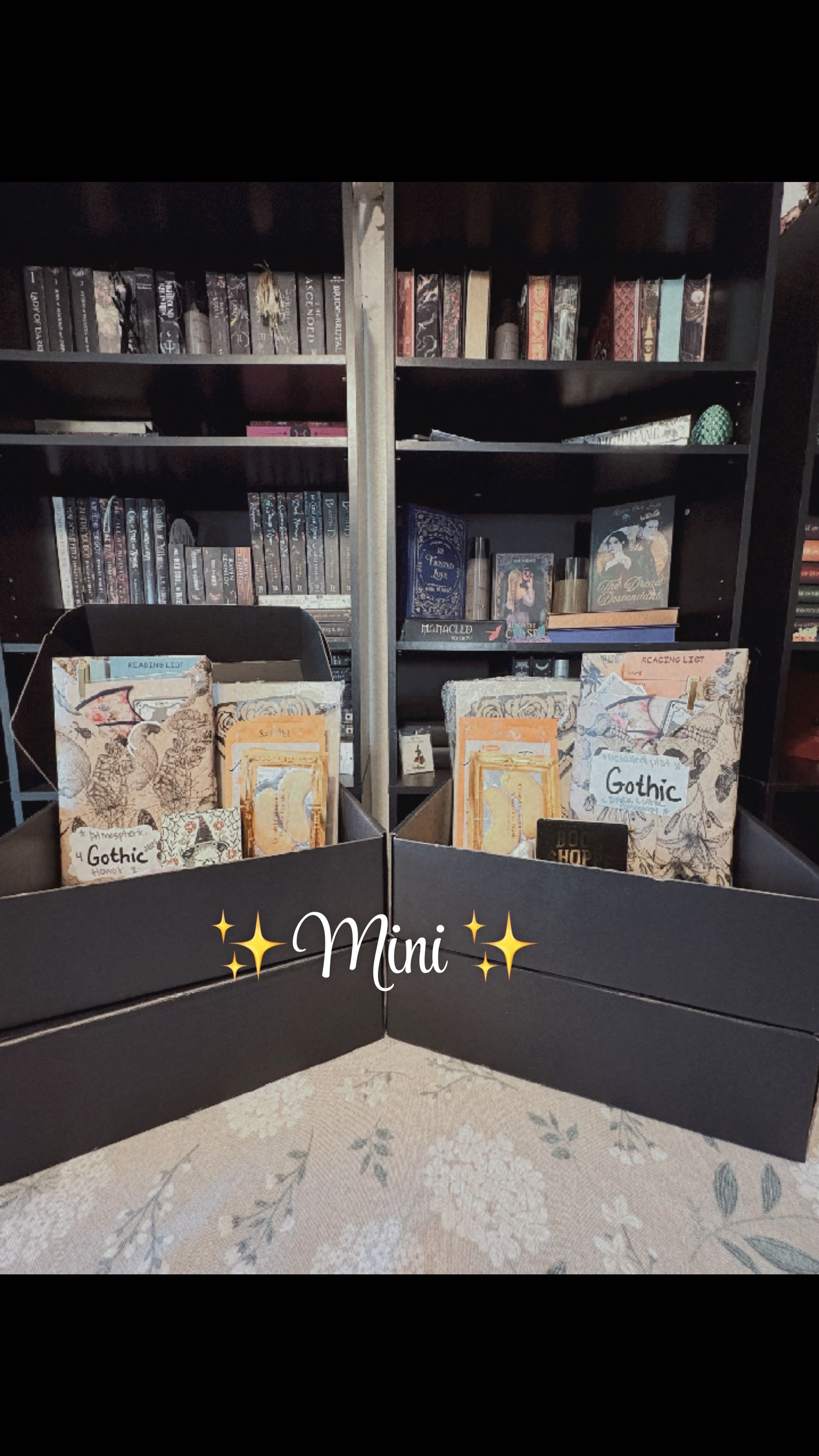Curated Bundle: Mini * Limited Availability *