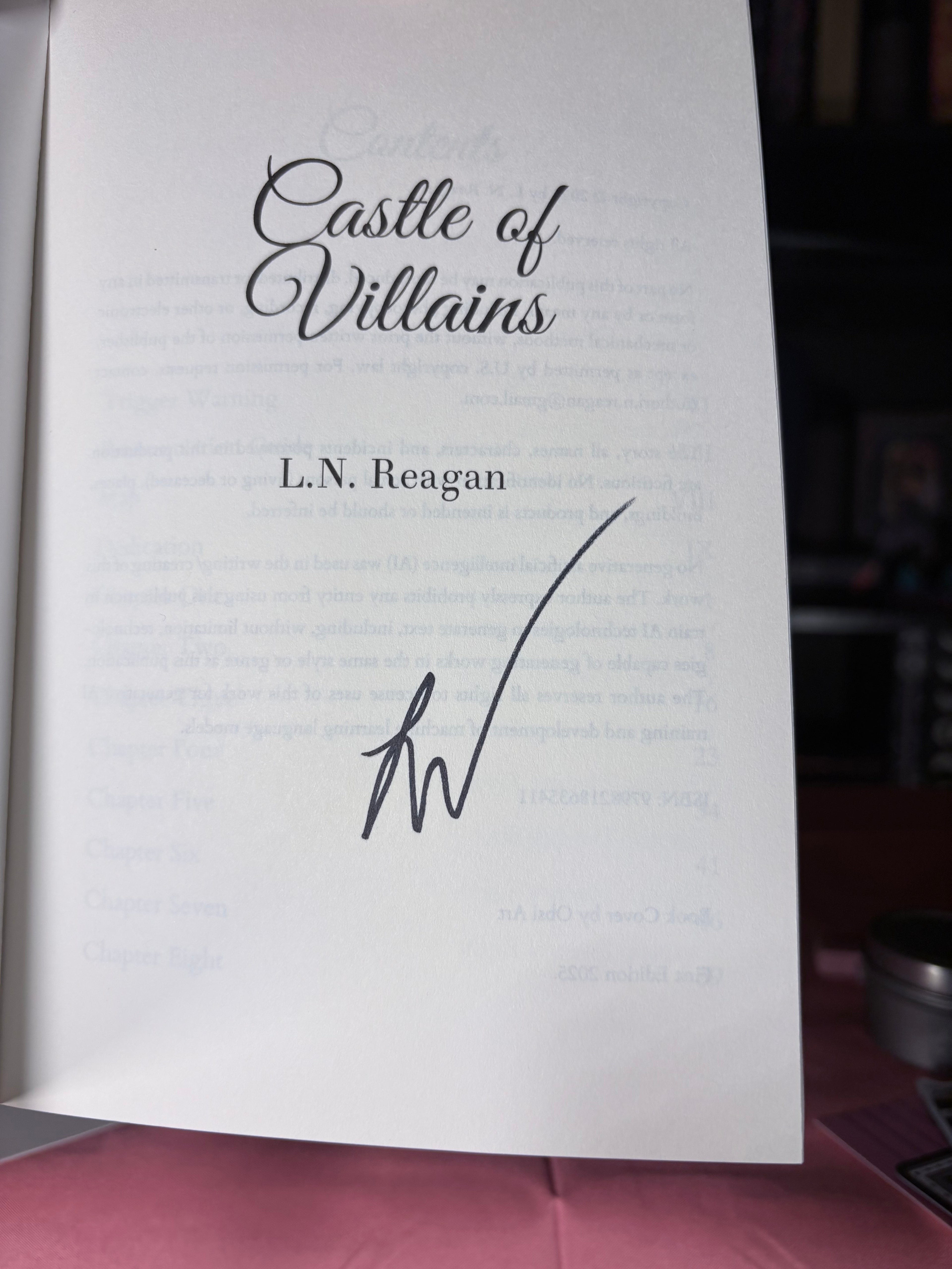 🏰 TBR Shelf | Castle of Villains — L.N. Reagan