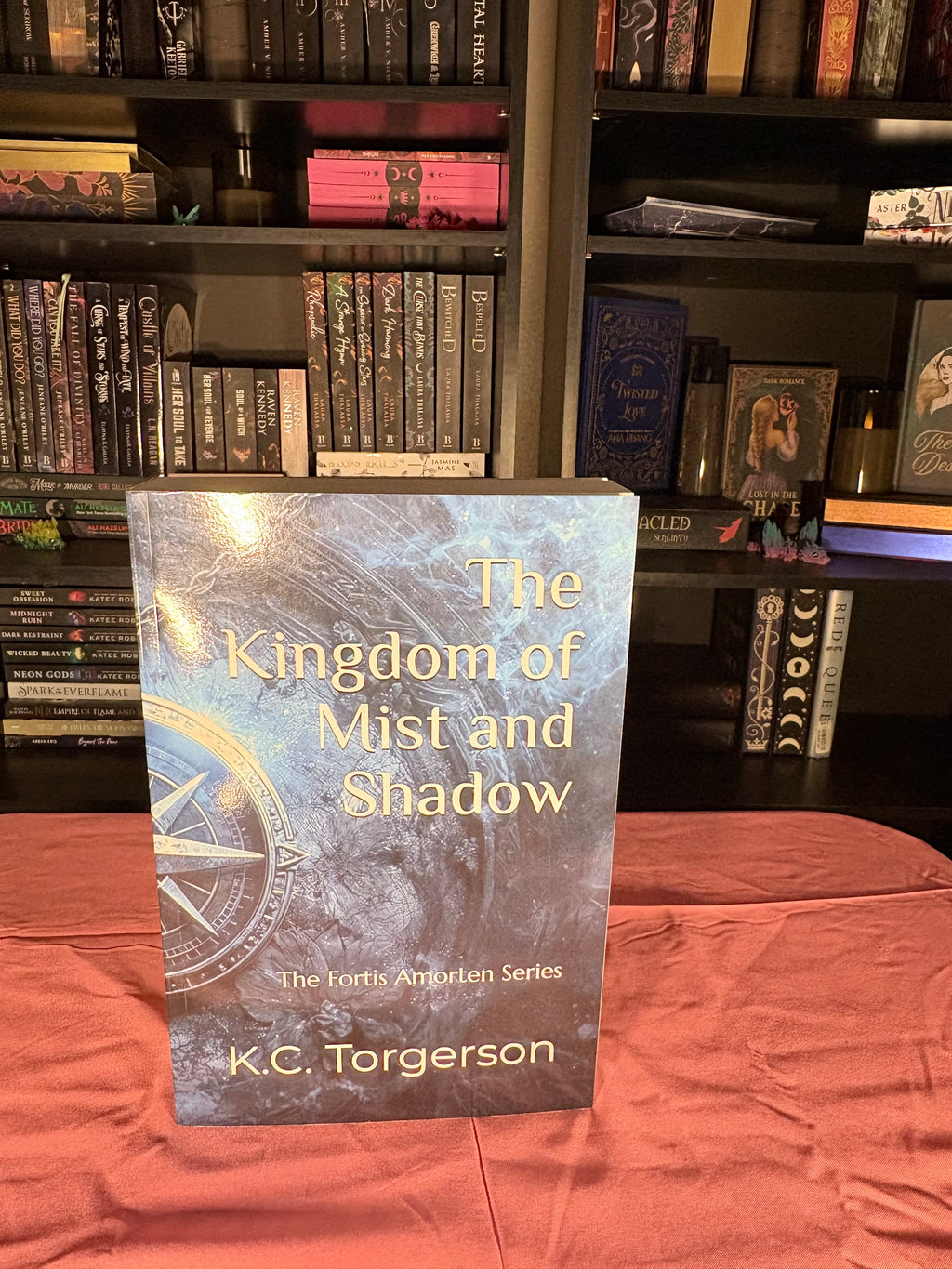 🐉 TBR Shelf | A Kingdom of Mist and Shadow — K.C. Torgerson