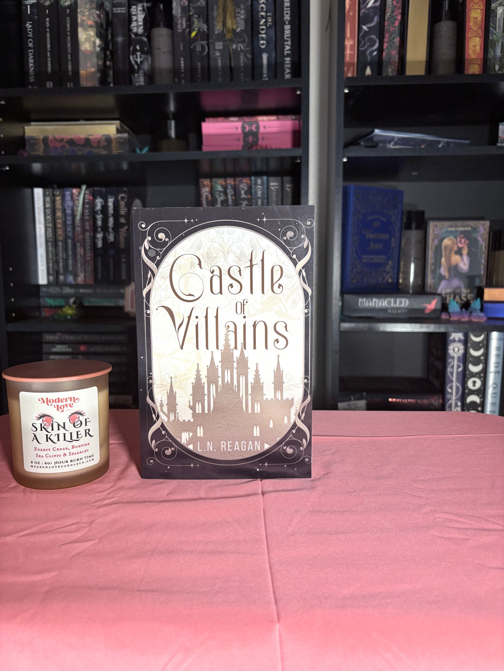 🏰 TBR Shelf | Castle of Villains — L.N. Reagan