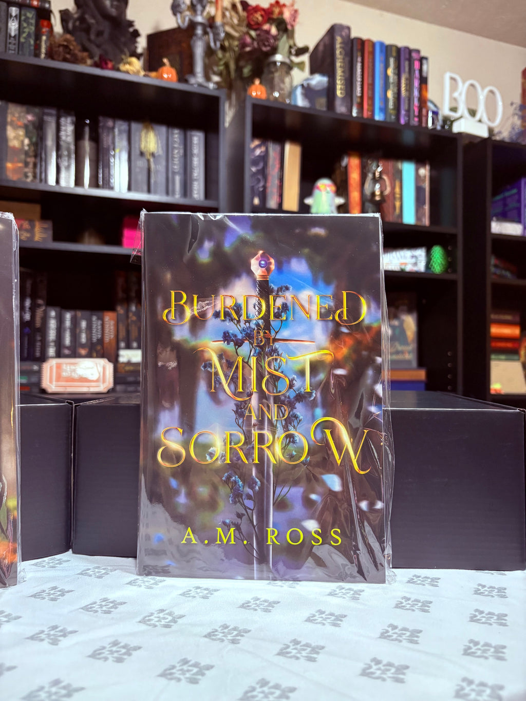 TBR Shelf | Legend of Mist & Blade Duet