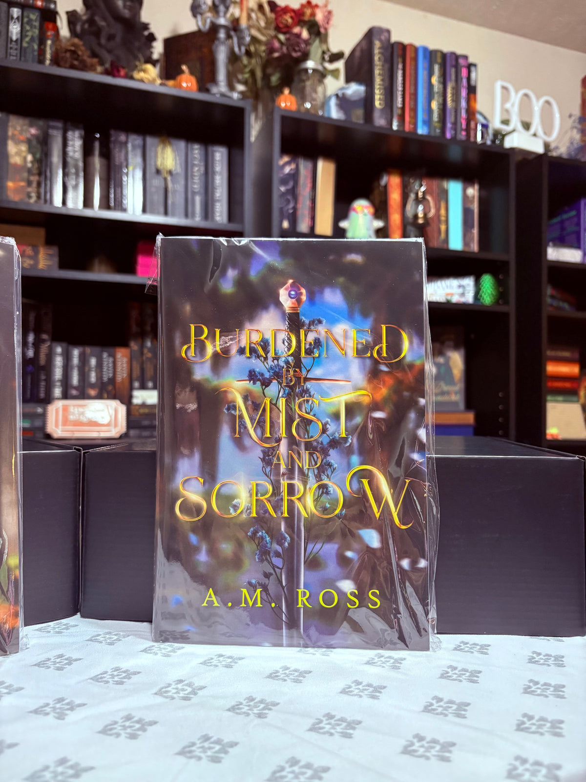 TBR Shelf | Legend of Mist & Blade Duet